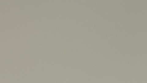 Clavos de olor sobre fondo gris