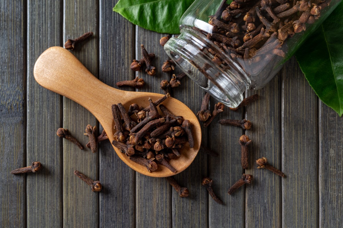 Clavo de olor: por qué expertos lo llaman una potencia biológica contra la inflamación