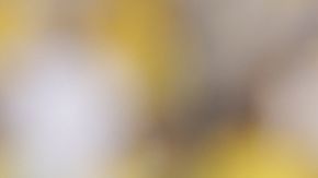 Cristiano Ronaldo del Al-Nassr celebra gol entre cánticos de Messi.