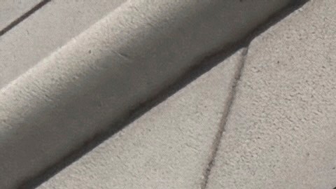 Corte Suprema analiza el futuro del TPS para haítianos y sirios.