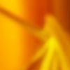 El Aceite de Oliva Virgen Extra (AOVE) no es solo una grasa saludable; sus polifenoles actúan como un potente antiinflamatorio natural que ayuda a reducir la acumulación de grasa en las células hepáticas.