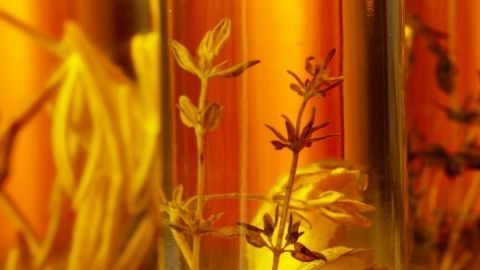 El Aceite de Oliva Virgen Extra (AOVE) no es solo una grasa saludable; sus polifenoles actúan como un potente antiinflamatorio natural que ayuda a reducir la acumulación de grasa en las células hepáticas.