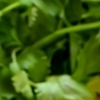Frutas y vegetales animados