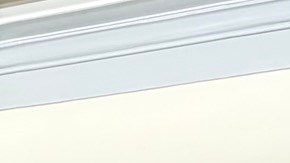 Representante Delia Ramirez junto a miembros de BUDPR