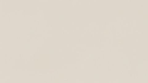 Frescura en la mesa de Pascua. Los pasteles de limón y zanahoria cierran la celebración con notas cítricas y texturas ligeras.