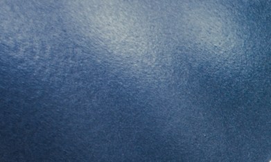 EE.UU. detuvo a familiares de Qasem Soleimani tras revocarles el estatus migratorio