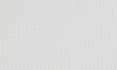 Elena Rose fue la invitada sorpresa de Arjona