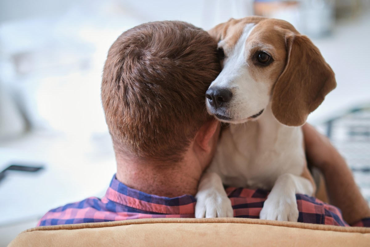 Empresa en Nueva York paga $1,000 por hora por oler aliento y besar perros: así puedes aplicar