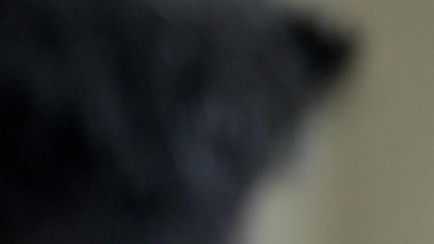 Investigan a congresista demócrata Eric Swalwell por presunta conducta sexual inapropiada