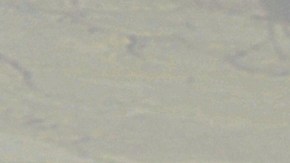 EE.UU. busca a piloto derribado en Irán mientras Teherán ofrece recompensa por su captura