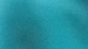 Fátima Bosch ganó el Miss Universo 2025.