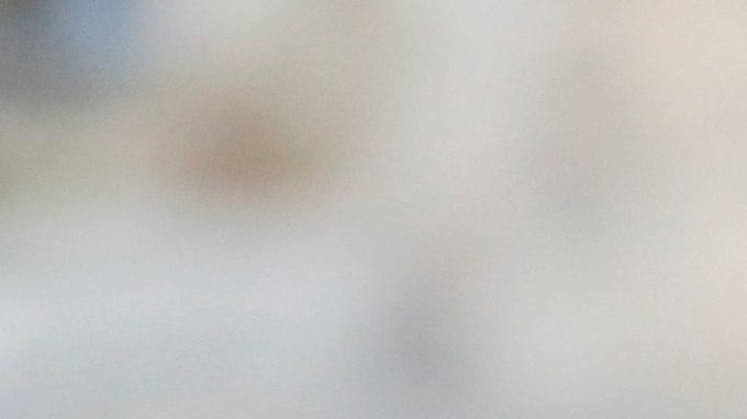 El exjardinero de los Angelinos de Los Ángeles, Garret. Anderson