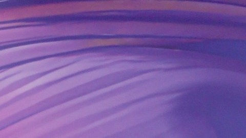 Gloria Trevi fue homenajeada por su Trayectoria Artística.