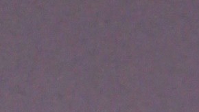 Catalina y el Titi forman una de las parejas más queridas de la televisión hispana.