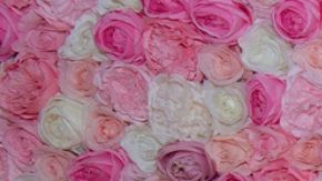 La artista exhibió un momento familiar cargado de orgullo y conexión cultural