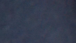 Los hermanos Duffer innovaron con esta fascinante trama.