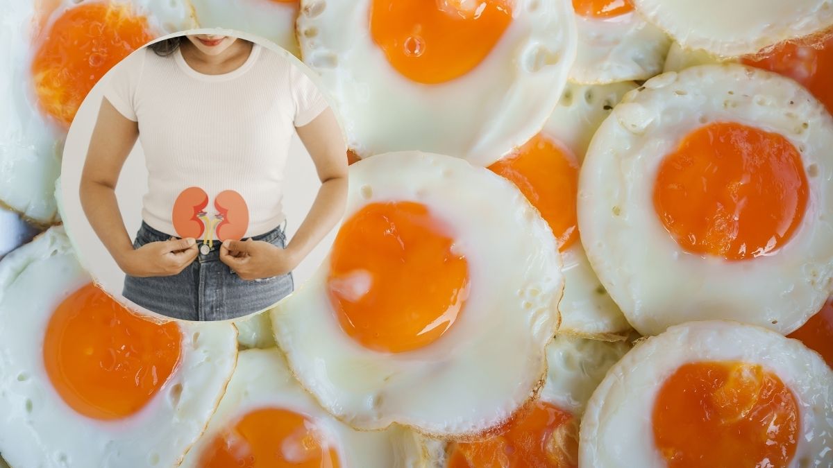 ¿El huevo daña tus riñones? 6 errores comunes y cómo proteger tu salud renal