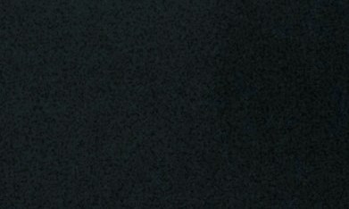 Hulk Hogan murió el 24 de julio del año pasado.