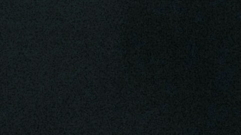 Hulk Hogan murió el 24 de julio del año pasado.