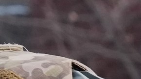 Operativos de ICE en Minnesota