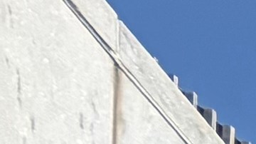 Este martes, en medio del "Día de cabildeo juvenil por escuelas más seguras y comunidades más seguras", casi un centenar de estudiantes estuvo en Albany