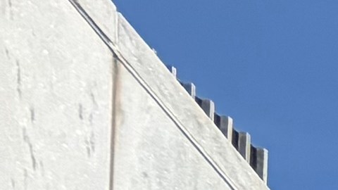 Este martes, en medio del "Día de cabildeo juvenil por escuelas más seguras y comunidades más seguras", casi un centenar de estudiantes estuvo en Albany