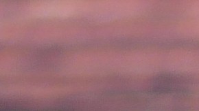 ¿Sabías que el clavo de olor es mucho más que una especia aromática? Gracias a su alto contenido de eugenol, es un aliado poderoso para limpiar tu organismo y combatir la inflamación.