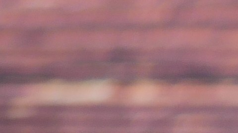 ¿Sabías que el clavo de olor es mucho más que una especia aromática? Gracias a su alto contenido de eugenol, es un aliado poderoso para limpiar tu organismo y combatir la inflamación.