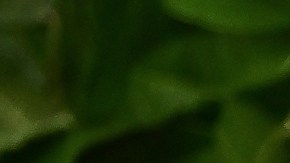 Jennifer Lawrence venidó esta propiedad a finales del año pasado.