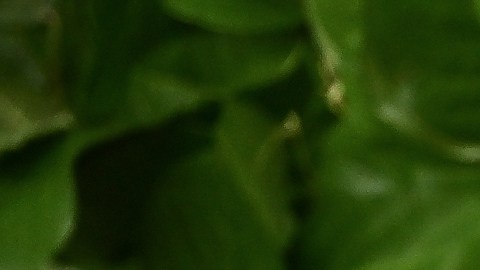 Jennifer Lawrence venidó esta propiedad a finales del año pasado.