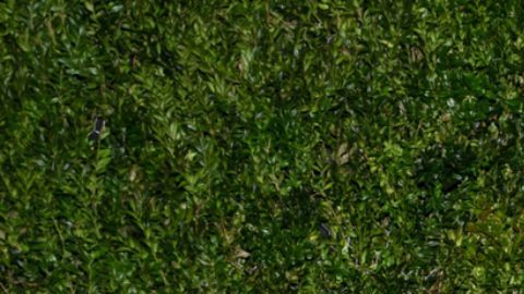 La relación entre ambos parece ir muy bien con el bajo perfil que tiene