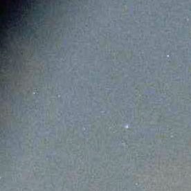 John Fitzgerald, leyenda de Dallas Cowboys.