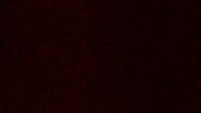 John Travolta debutará como director en Cannes.