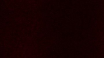 John Travolta debutará como director en Cannes.