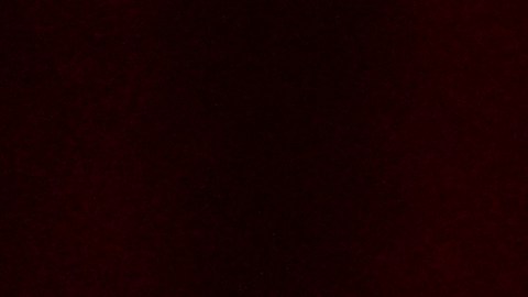 John Travolta debutará como director en Cannes.