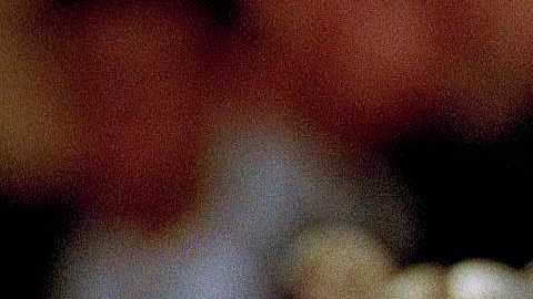 Karl Lagerfeld murió en febrero del 2019.