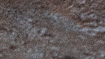 Karol G encabezó el Festival Coachella 2026.