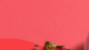 La nueva Colección de Primavera de Krispy Kreme destaca por su fusión con HERSHEY'S y el regreso del clásico pastel de arándanos.