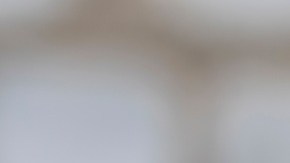 la diferencia entre declarar o no hacerlo puede representar cientos o incluso miles de dólares en multas evitables.