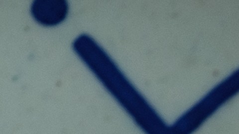 Sinergia en el plato: la combinación de cebolla (azufre) y pimientos (vitamina C) es el secreto para que los aminoácidos del caldo se conviertan en colágeno para tu piel