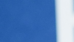 Leonardo DiCaprio protagonizó "The Wolf of Wall Street" y fue nominado a un Premio Oscar por su trabajo.