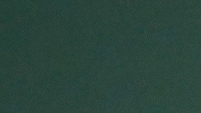 Lizzo tuvo que rebajar su precio en varias ocasiones.