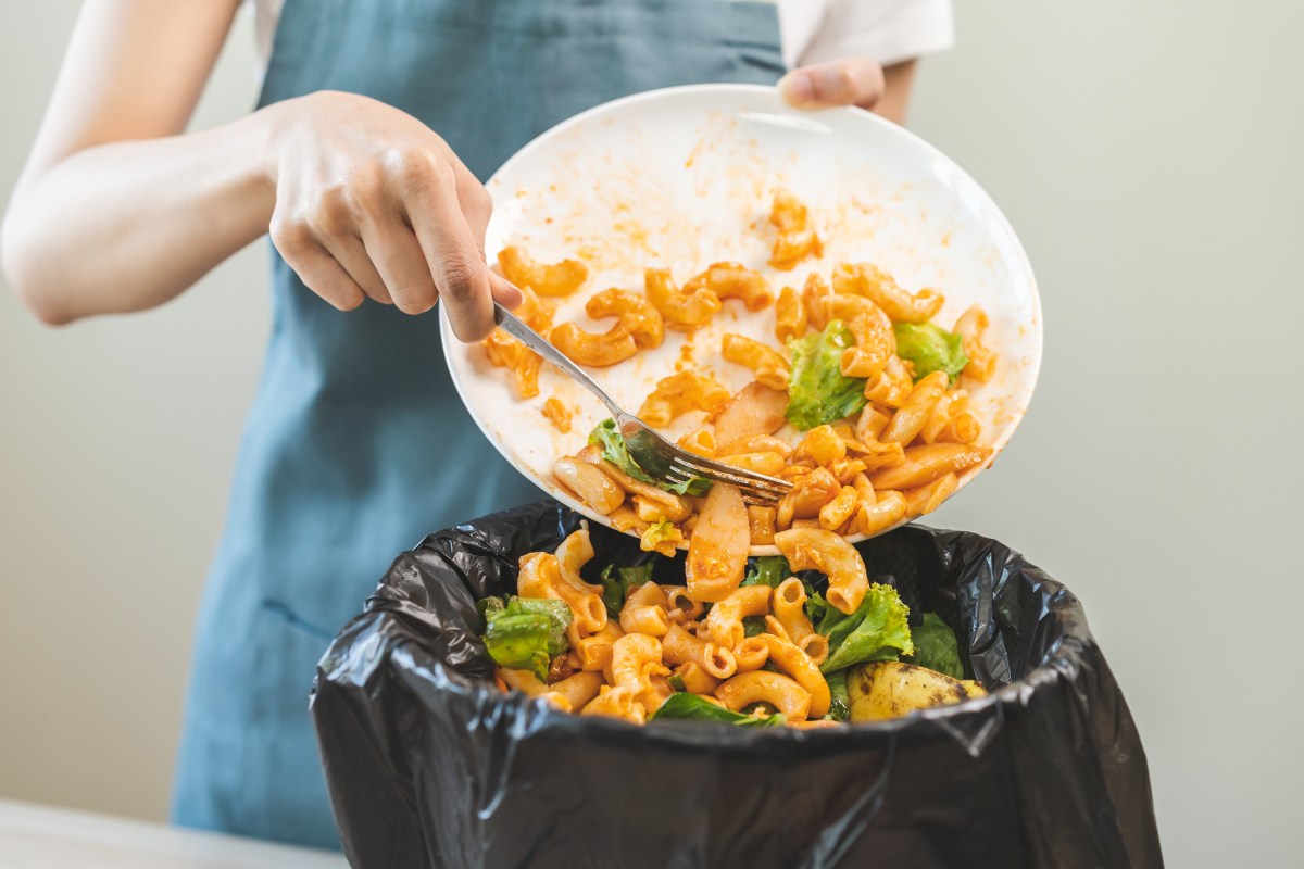 Los estados de EE.UU. que menos desperdician comida