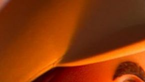 "Super Mario Galaxy" habría recaudado $370.7 millones de dólares en taquilla mundial.