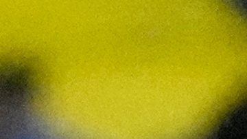 Javier Mascherano deja el puesto de entrenador.