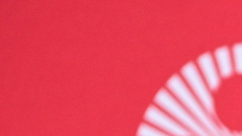 Pedro Almodóvar competirá en el Festival de Cannes con "Amarga Navidad".