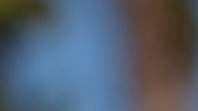 Ringo Starr fue solo uno de los músicos que se refugió en esta propiedad.