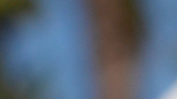 Ringo Starr fue solo uno de los músicos que se refugió en esta propiedad.