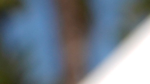 Ringo Starr fue solo uno de los músicos que se refugió en esta propiedad.