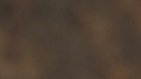 El actor británico confiesa que no ve sus participaciones en la pantalla.